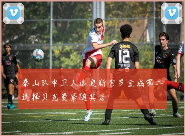 泰山队中卫人选更新索罗金成第二选择贝克曼紧随其后
