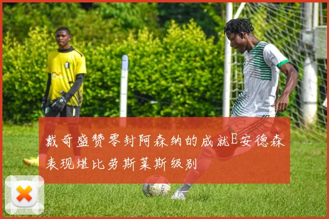 戴奇盛赞零封阿森纳的成就E安德森表现堪比劳斯莱斯级别